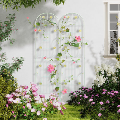 Metal Arched Trellis (Set Of 2)