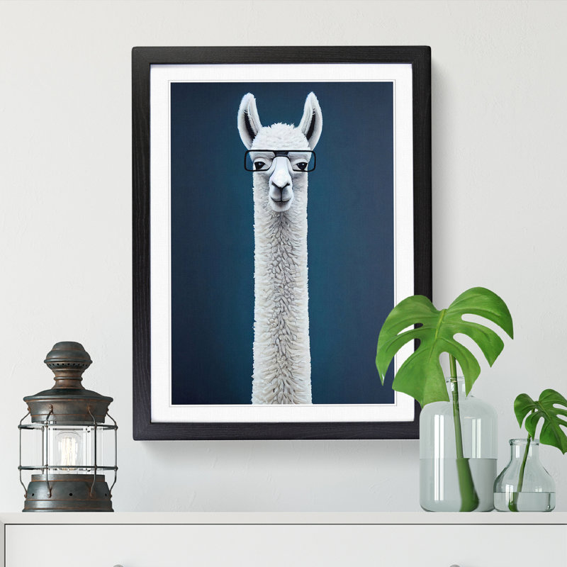 Llama In Glasses - Single Picture Frame Print, Black, 46cm H x 34cm W x 2cm D