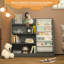 Bathelda Standard Bookcase, Storage Book Rack, Organizer Cabinet, Book Display-406010436-414665509