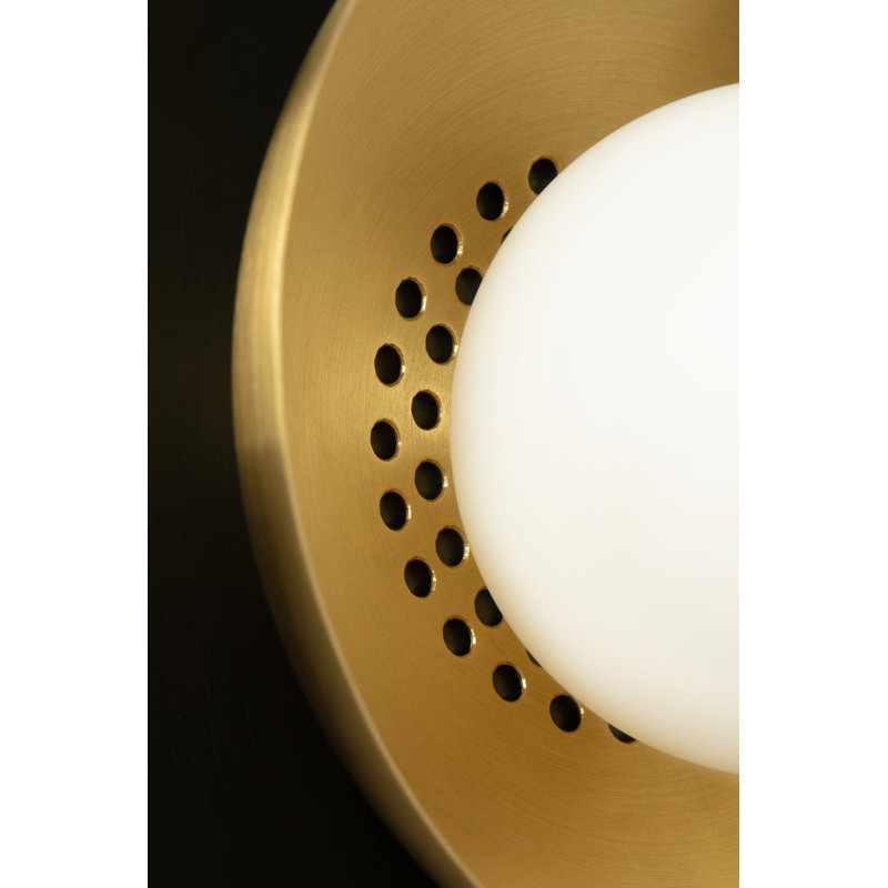 Carapace 1 - Light Pendant