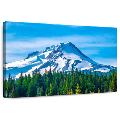 Alvord Blue Sky Over Mount Hood