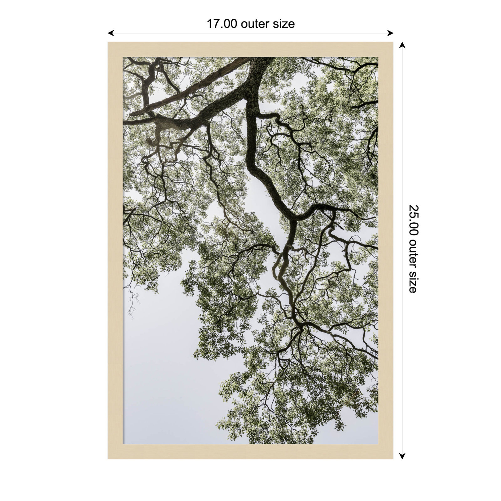 Pleasantville "Coastal Forest" Print, Brown, 25" H x 17" W