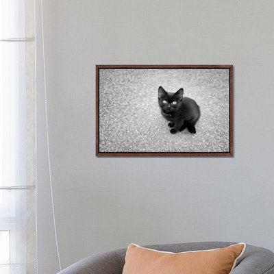 Just A Baby by Ben Heine - Print on Canvas