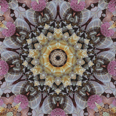 Indoor Rug