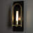Triomphe 1 - Light Steel Armed Sconce-95371575-88502102