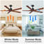 Ventilateur de plafond 60 po Black Lowe