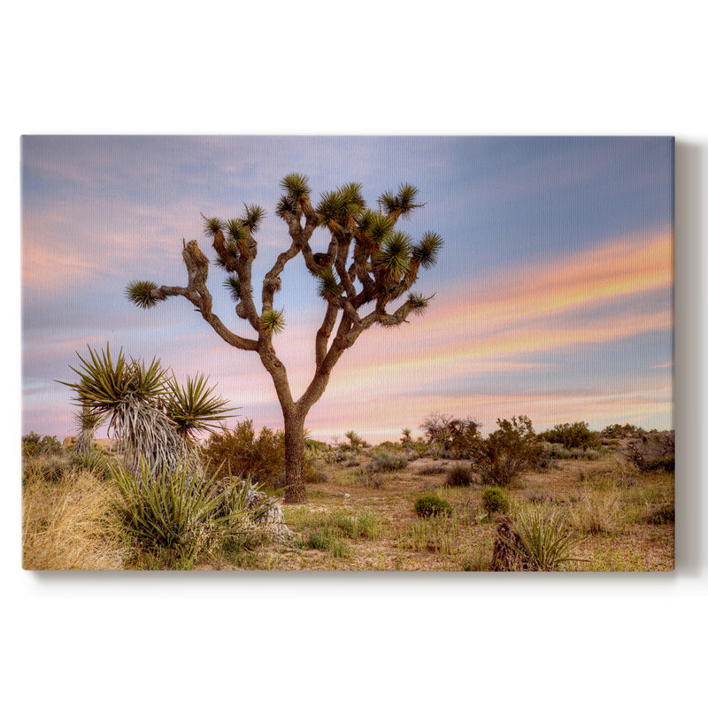 Joshua Tree Sunrise - Toile tendue avec châssis tendue, prête à être accrochée, H 21 po x l 41 po, Doré
