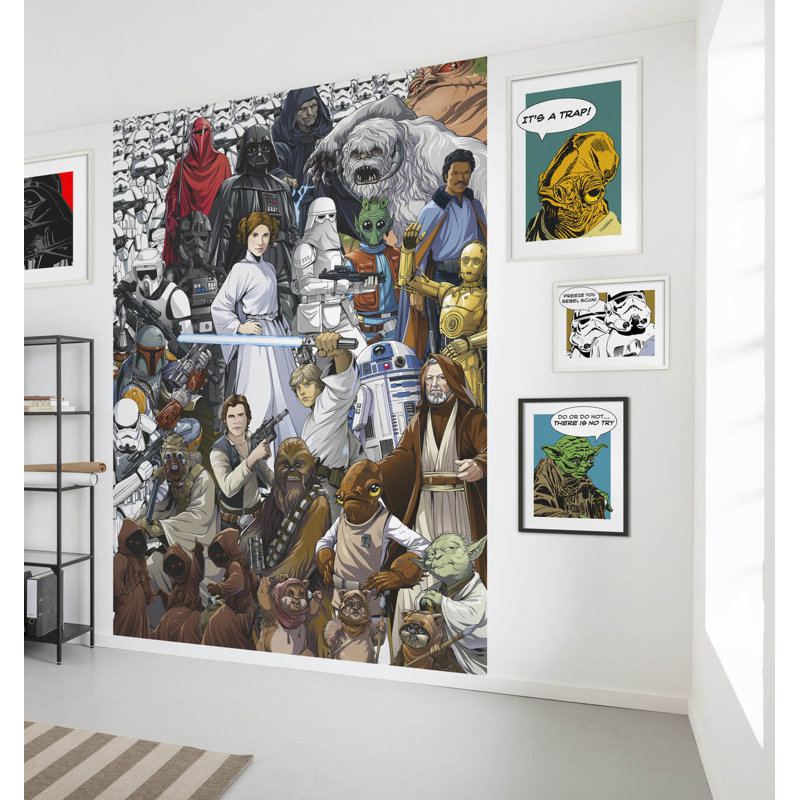 Cayla Star Wars Classic 2.54m x 1.84m Wall Mural