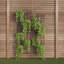 Steel Arched Trellis-1774062589
