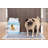 Cotton Pet Bed