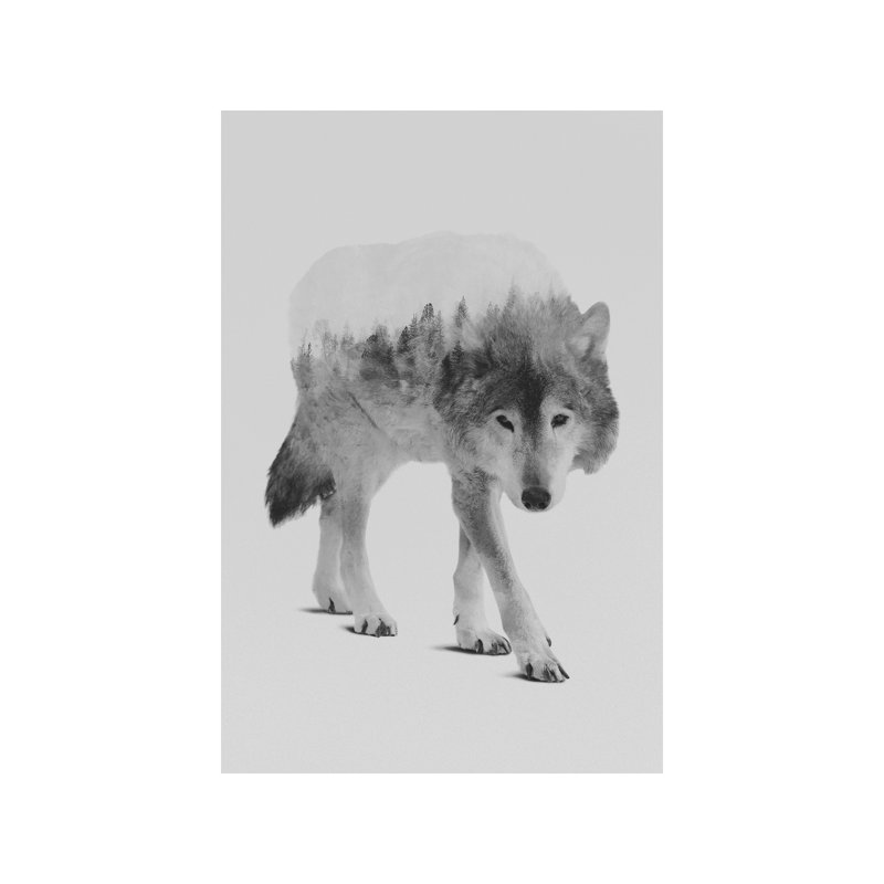Wolf In The Woods II by Andreas Lie - Wrapped Canvas Print, 66.04 cm H x 45.72 cm W x 1.91 cm D