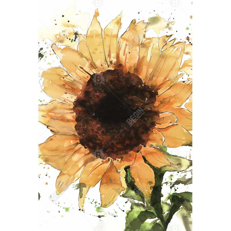 " Big Sunflower "