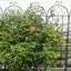 Ensemble de 4 treillis de jardin en métal 71 po x 19,7 po, cadre de plantes d'extérieur antirouille, noir, facile à assembler, treillis en tube galvanisé 4, antirouille, solide