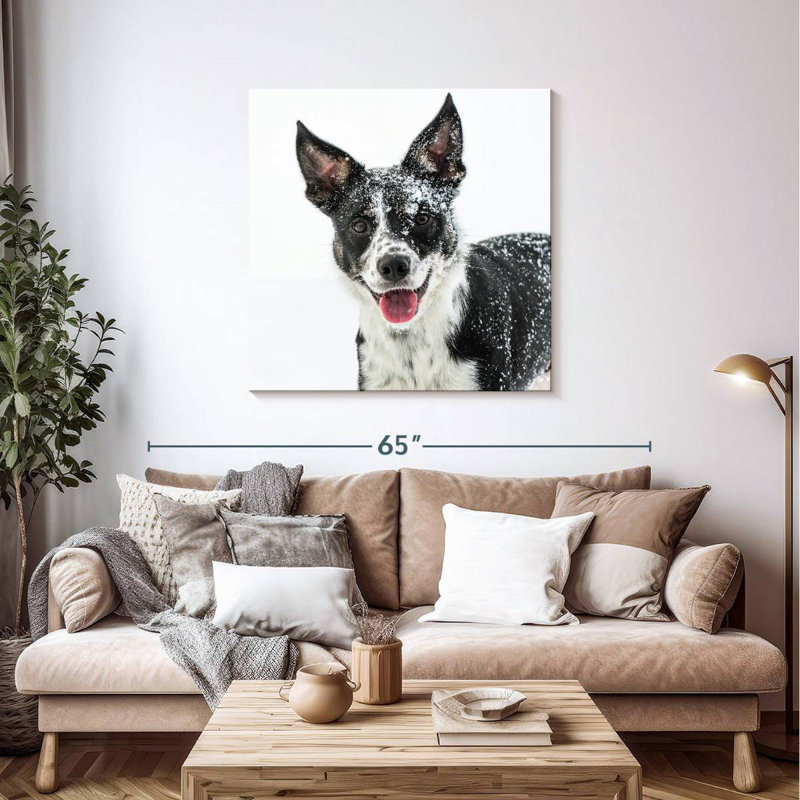 Brampt Snow Covered Border Collie, 39" H x 39" W