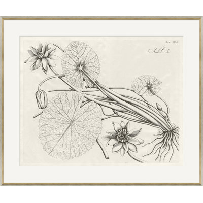 Malaberica Brittanica 3 Framed