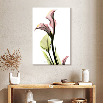 Harnek délicat, lis Calla