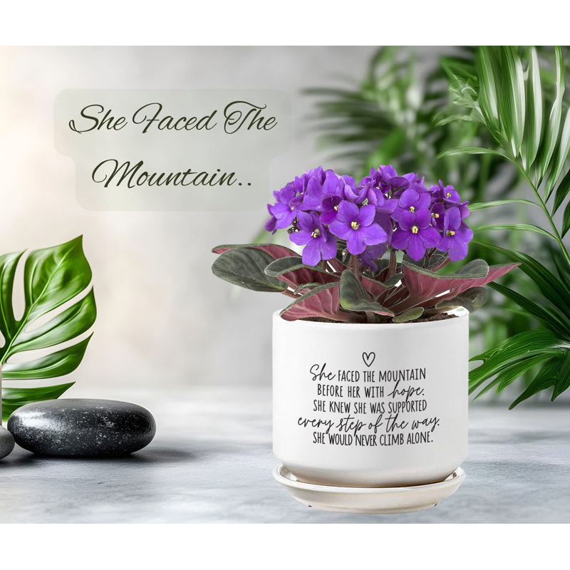 Planter She Faced The Mountain With Hope