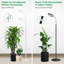 Naomi Grow Light