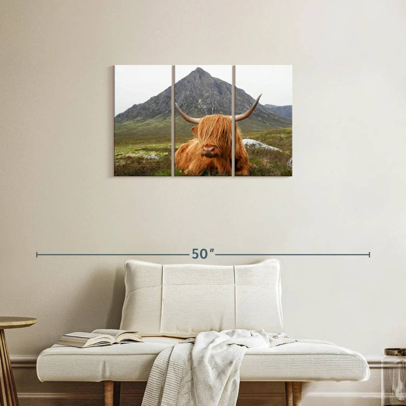Vache sereine Brampt Highland, H 20 po x l 33 po
