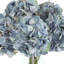 Hydrangea Bouquet In Vase