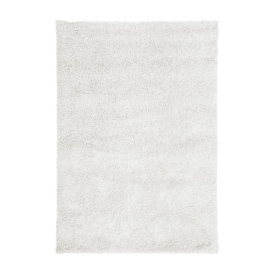 Aeysha Shaggy Indoor / Outdoor Area Rug