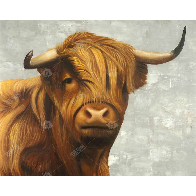 Highland Bovins, reproduction sur toile