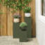 Plant Stand-1292622666