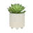 Includes plant rack flower pots