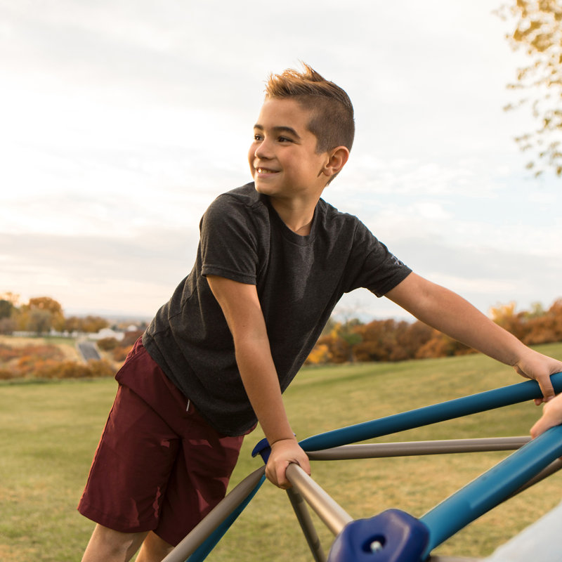 Lifetime Climbing Dome, 137.16cm H x 9cm W x 9cm D, Blue/Brown
