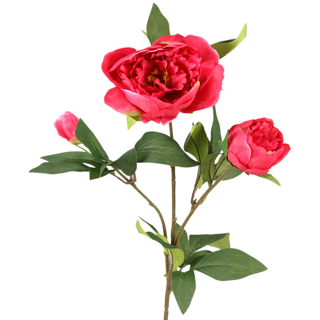 Peony Arrangement (Set of 3) House of Hampton® Flower 