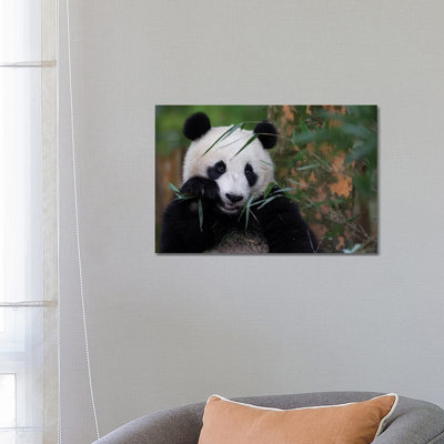 Bamboo Time 1 Piece Wrapped Canvas Painting