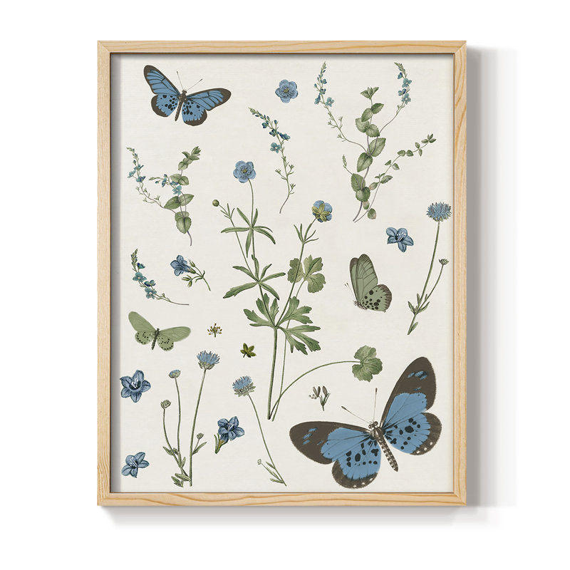 Botanical Page I Framed Print - Solid Wood
