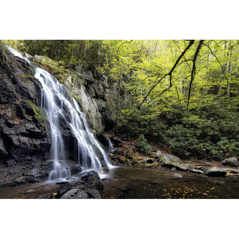 Spruce Flat Falls At Morning by Danny Head - Wrapped Canvas Print, 20 cm H x 30 cm W, Wrapped Canvas