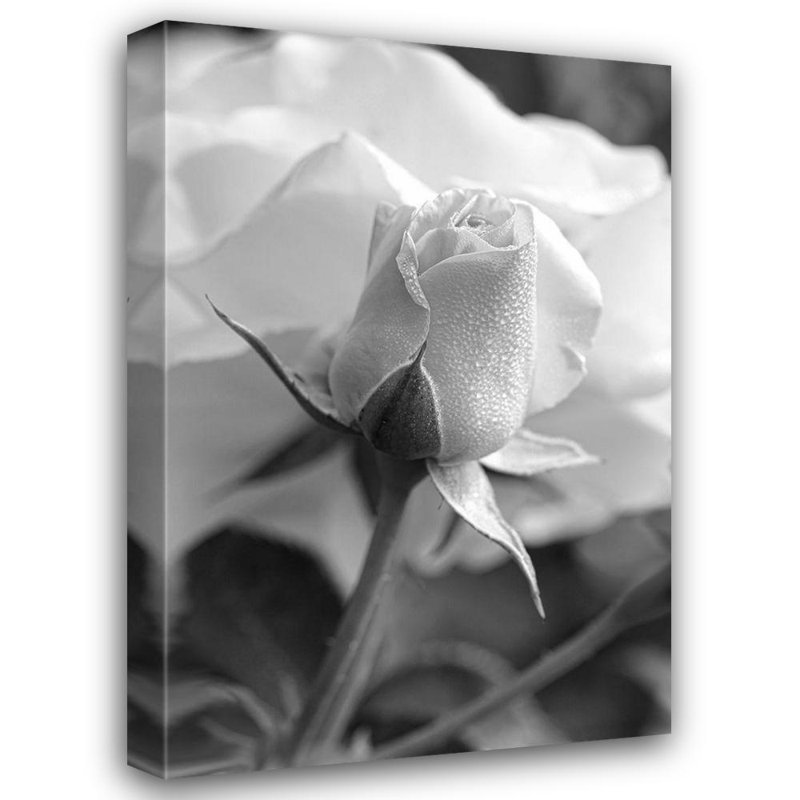 Art sur toile tendue avec tendeur Art Gallery, Schell, Jennie Marie, noir et blanc
