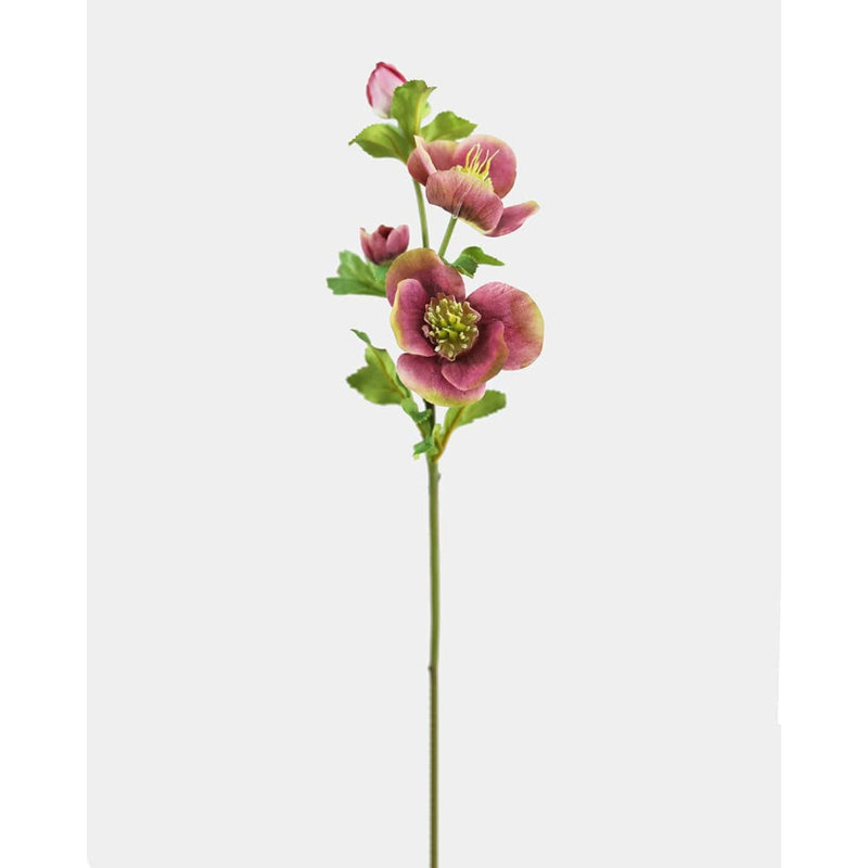 Real Touch Mauve rose Hellebore 18 po, Pink/Mauve