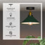Semi Flush Mount-1260304794-1260304743