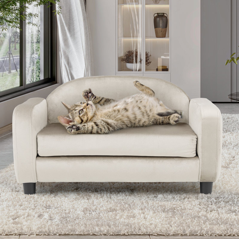 Canapé pour animal de compagnie avec coussin amovible pour petit chien moyen, Blanc perle