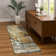 Machine Washable Indoor/Outdoor Efimenko ACN2300 Abstract Rug