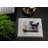 Alaunna Tray