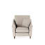 Springview Upholstered Armchair-1204787798
