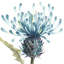 Natural IV Print by Beverly Fuller-26773677-26773679