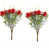 Rose rouge est en rupture de stock