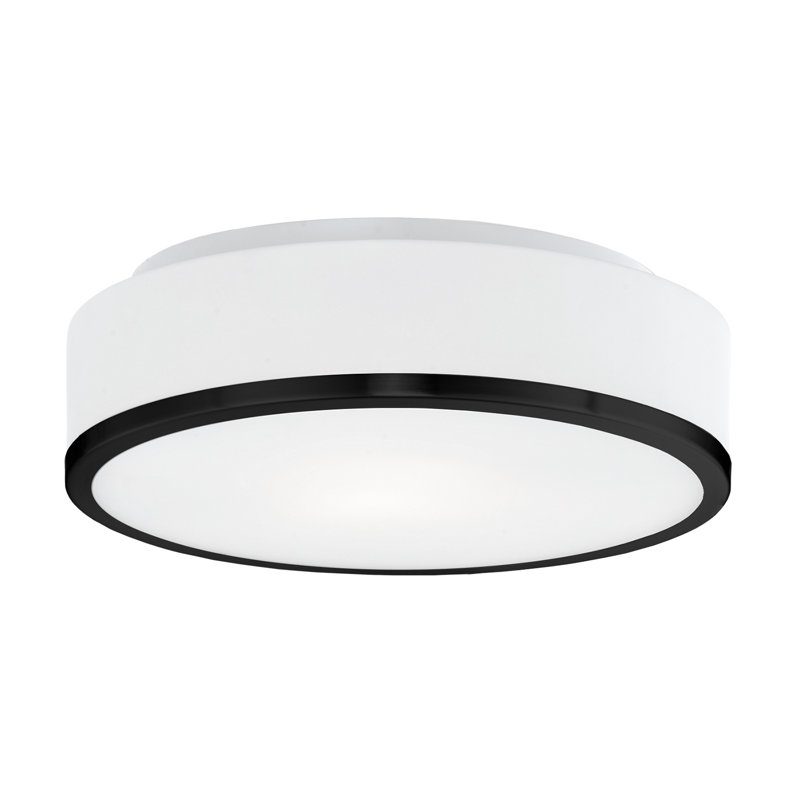 Plafonnier encastré 11,5 po 2 lumières Charlie, Noir