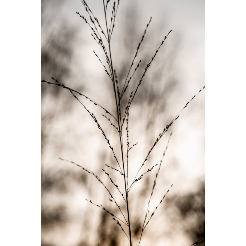 Wrapped Canvas Print, 76.2 cm H x 50.8 cm W