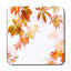 Square 6 Piece Coaster Set
