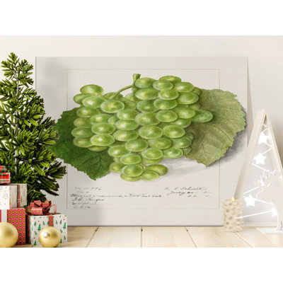 Santo Wrapped Canvas Print Set