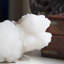 Harkirat lumineux avec apophyliite Stilbite