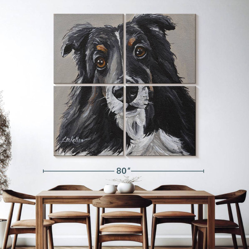Sheltie de Brampt sur fond gris, H 74 po x l 74 po