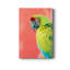 Ara vert - impression sur toile tendue-2026976913