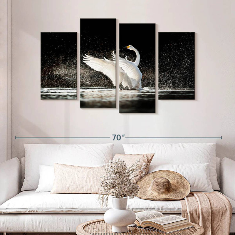 Cygne Brampt éclaboussant l'eau